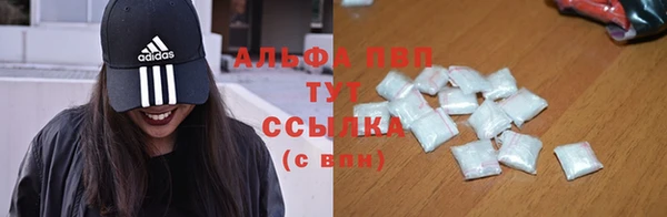 PSILOCYBIN Аркадак