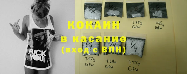 крисы Армянск