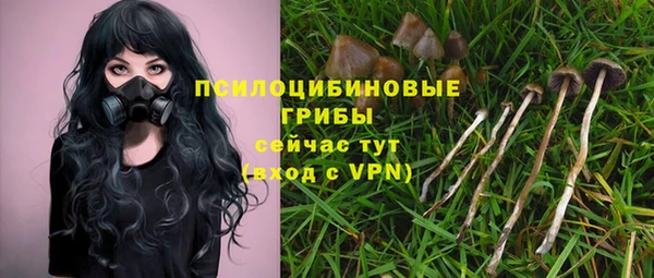 ешки Арсеньев