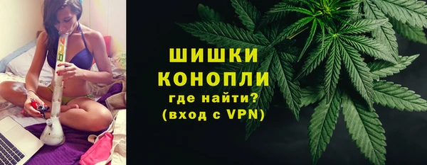 ешки Арсеньев