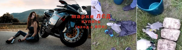 крисы Армянск