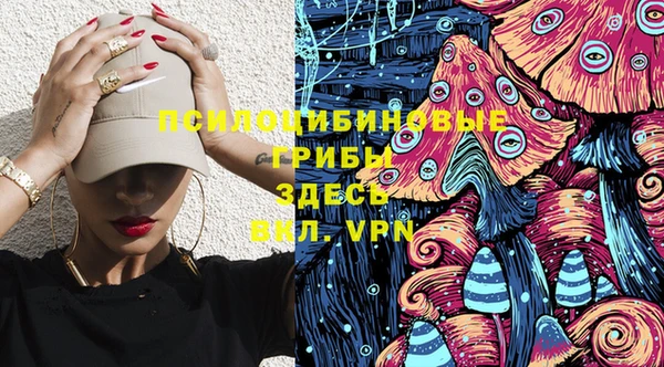 крисы Армянск