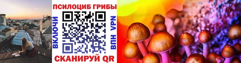 Галлюциногенные грибы мицелий Оханск